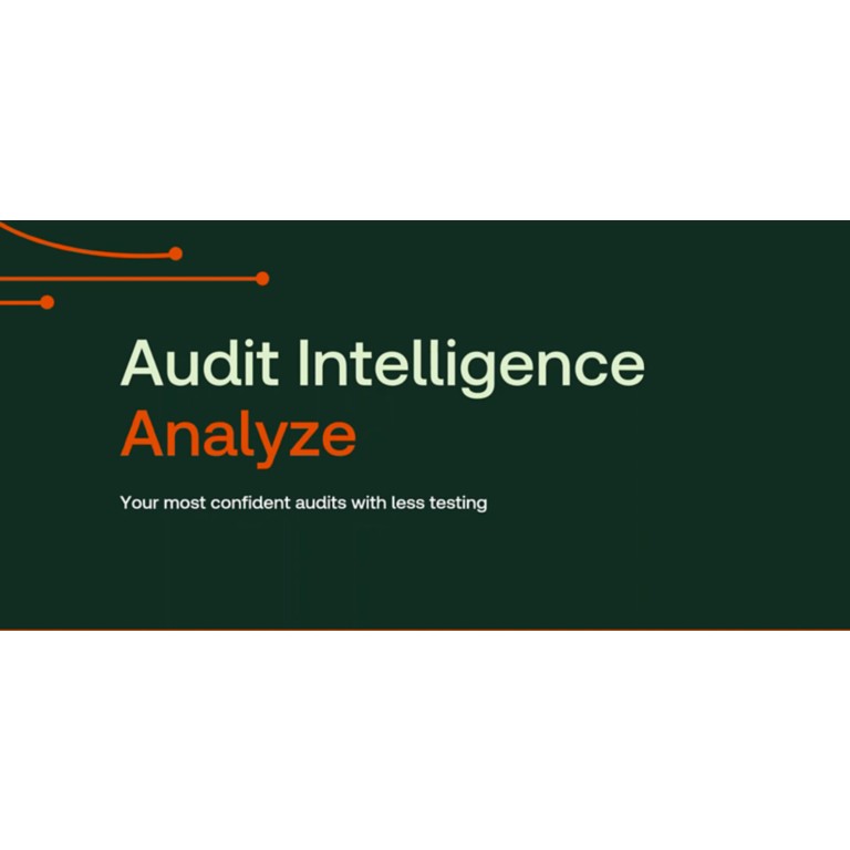 Discover Audit Intelligence Analyze