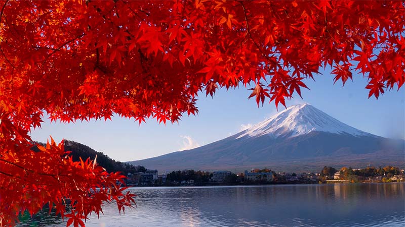 株式会社みずほ銀行