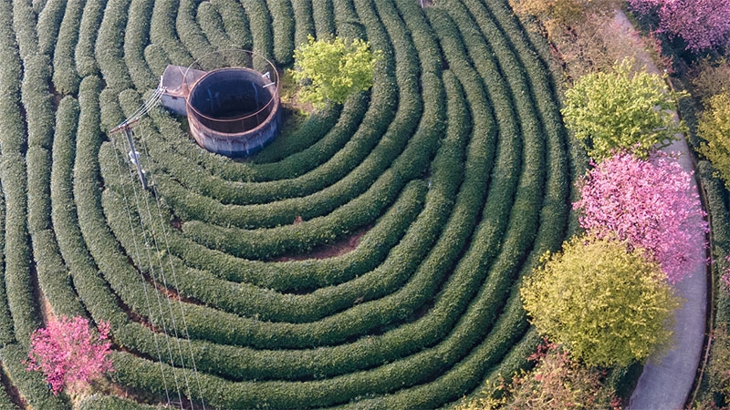 日本たばこ産業株式会社